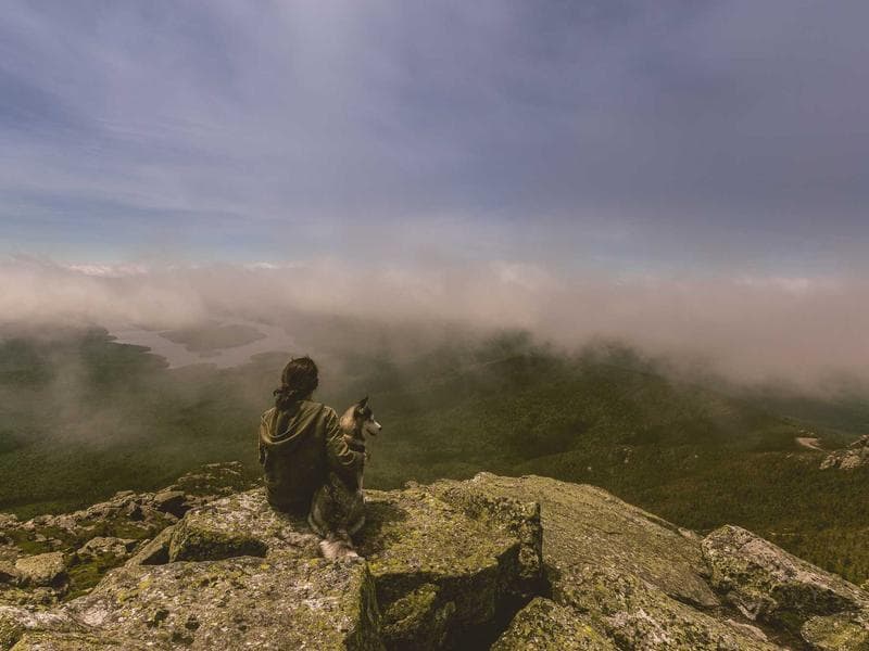 Introduction to Machine Learning